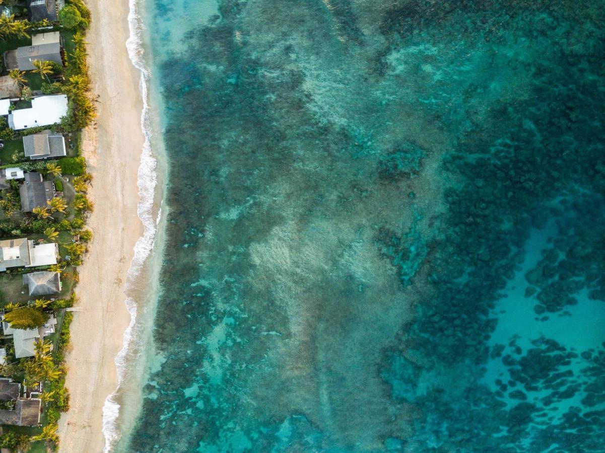 Hummingbird Oceanfront Cottage Hau'ula Zewnętrze zdjęcie